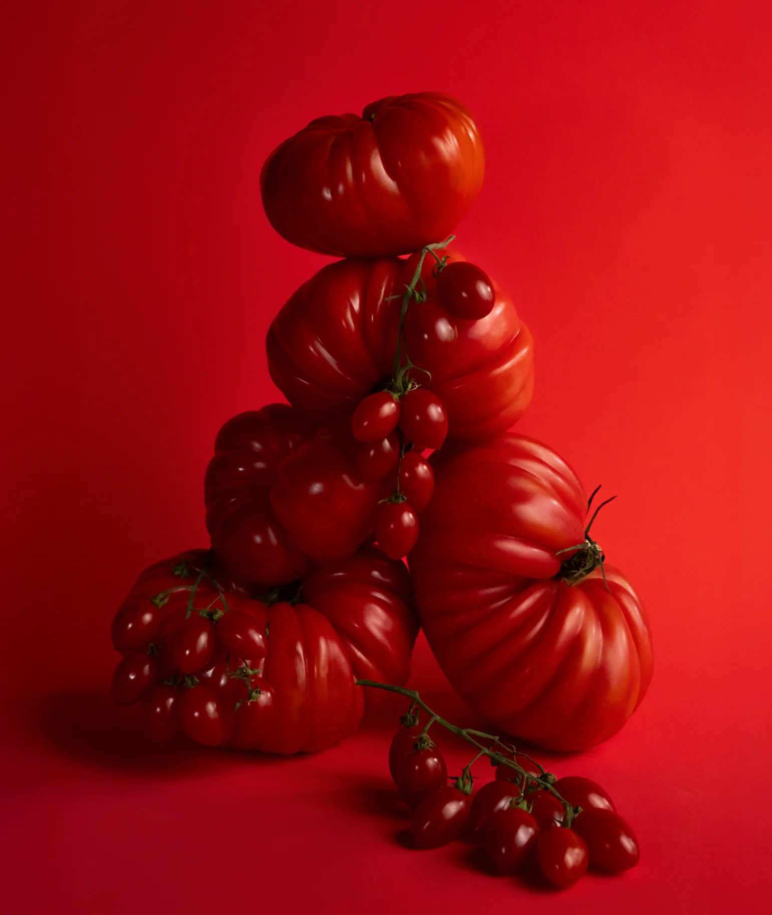 Tomate Bébé Candle - Image 4